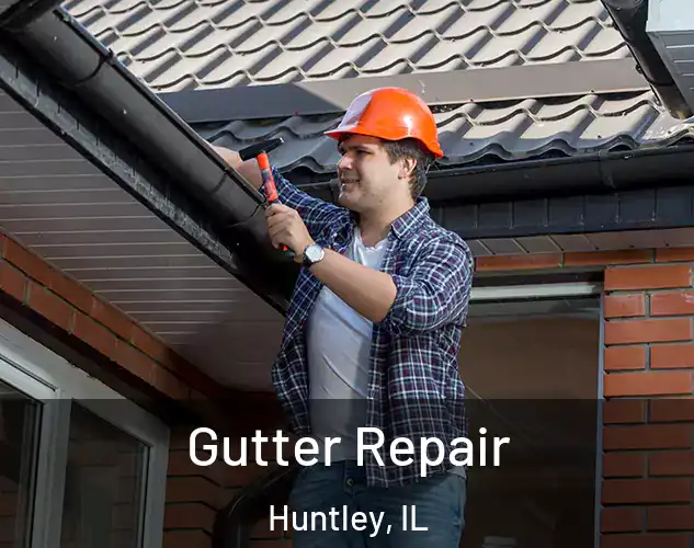 Gutter Repair Huntley, IL