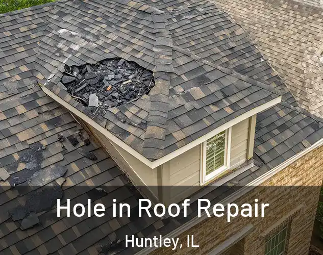  Hole in Roof Repair Huntley, IL