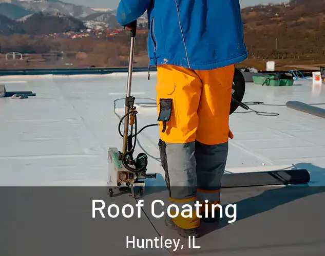  Roof Coating Huntley, IL