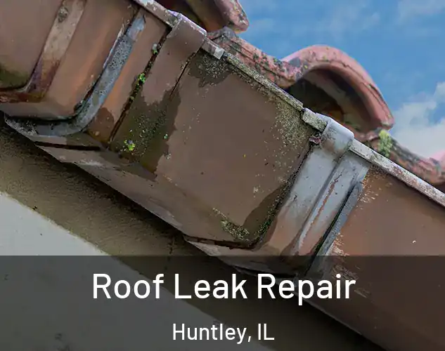  Roof Leak Repair Huntley, IL