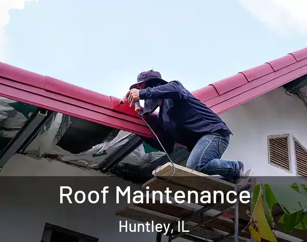  Roof Maintenance Huntley, IL