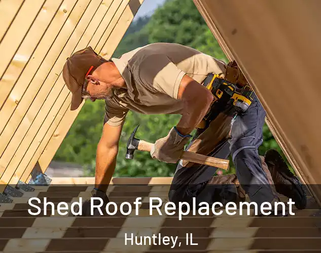  Shed Roof Replacement Huntley, IL