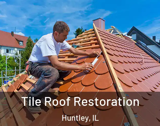  Tile Roof Restoration Huntley, IL